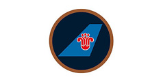 中國南方航空公司標志組合設計及VI設計